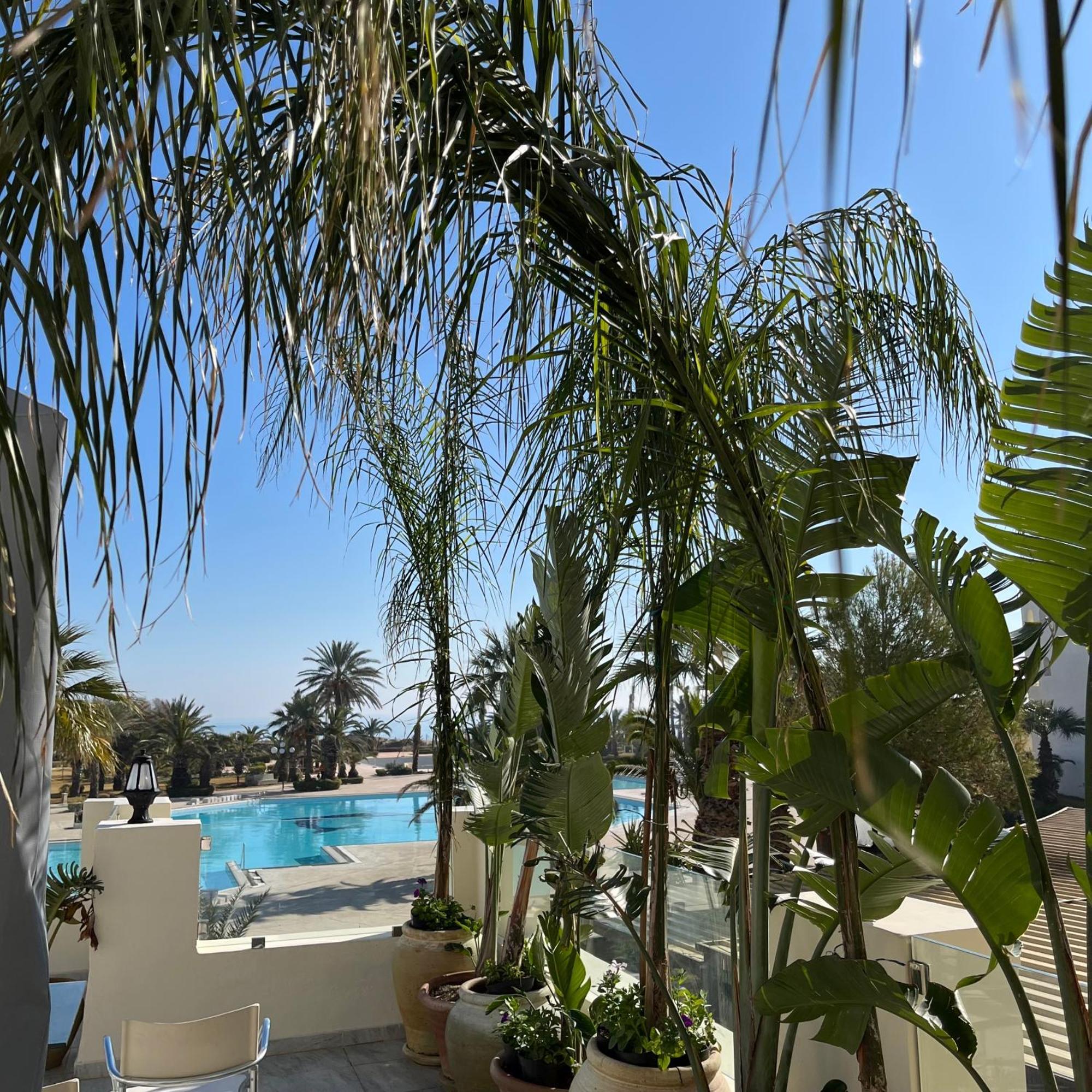 Sentido Marillia Resort & Spa Yasmine Hammamet Экстерьер фото